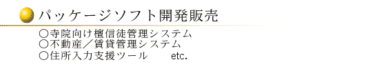 パッケージソフト開発販売