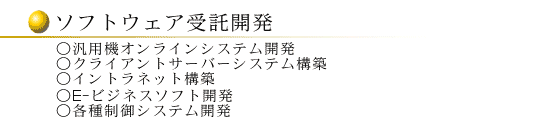 ソフトウェア受託開発